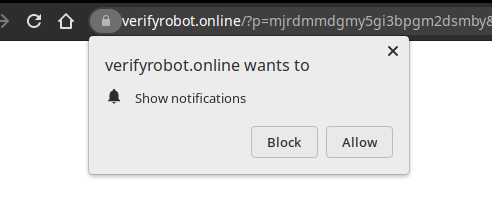A real browser notification permission prompt shown along the redirection chain