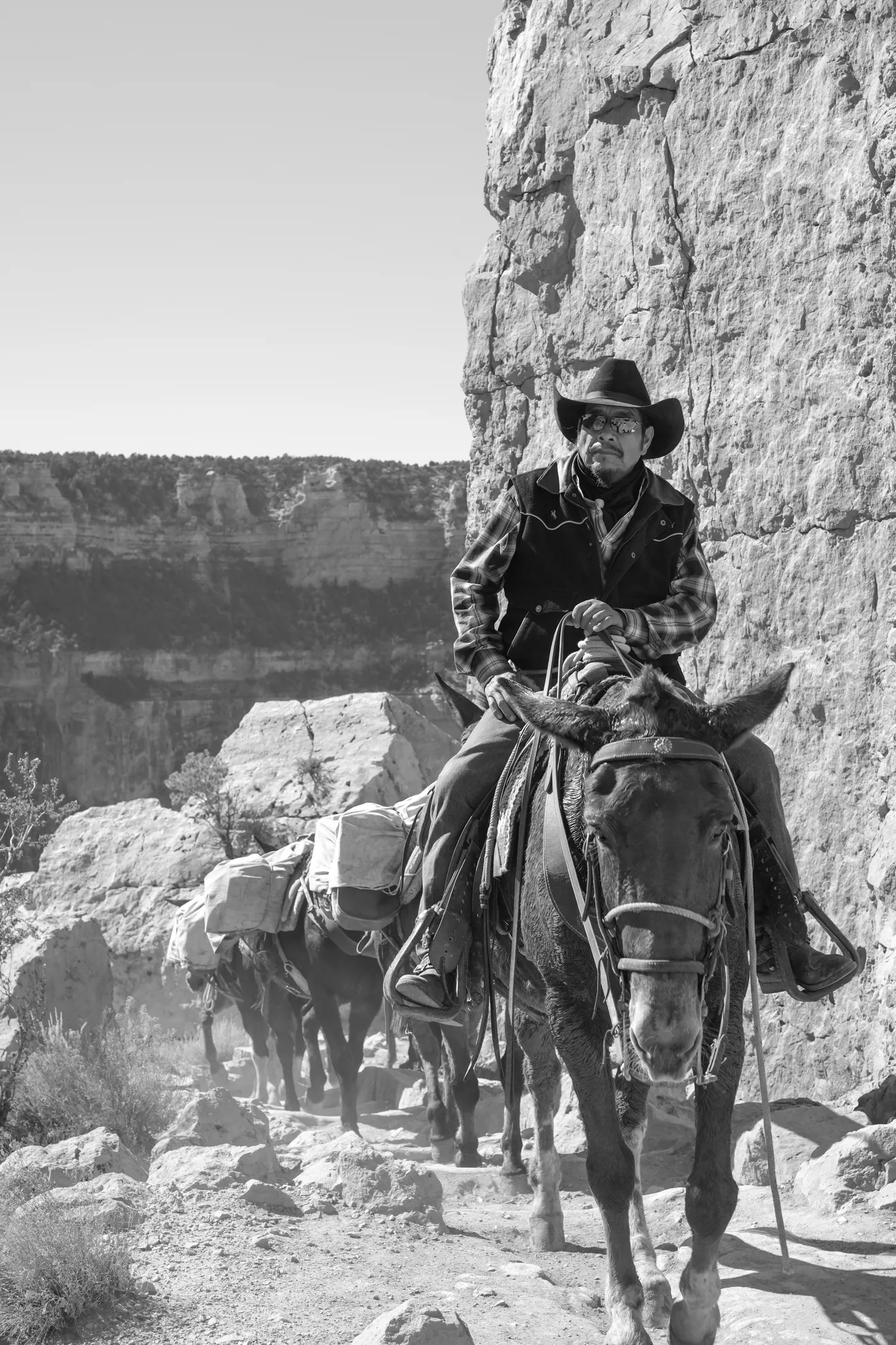 A wrangler bringing the mule train up the trail, the rim wall behind him.