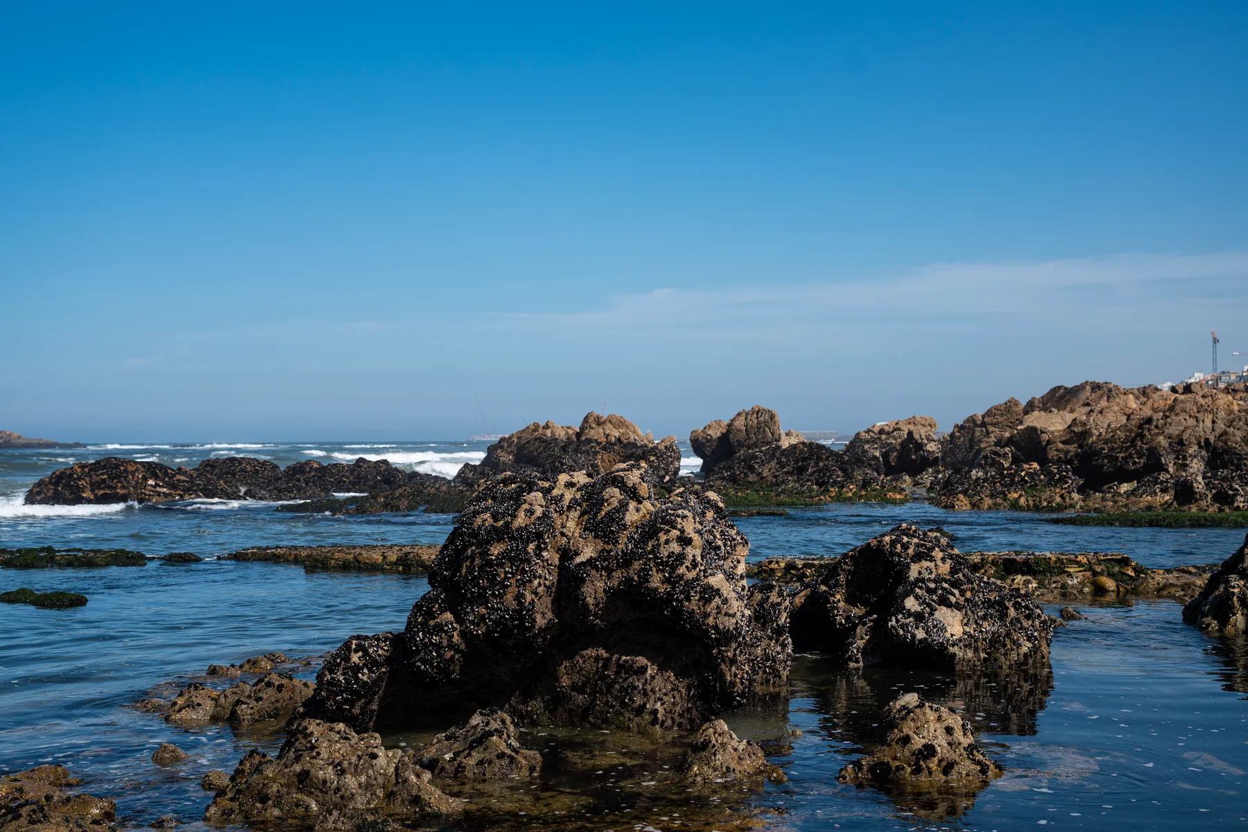 Mussel-crusted rocks at Foz, where the Douro gives way to the Atlantic.