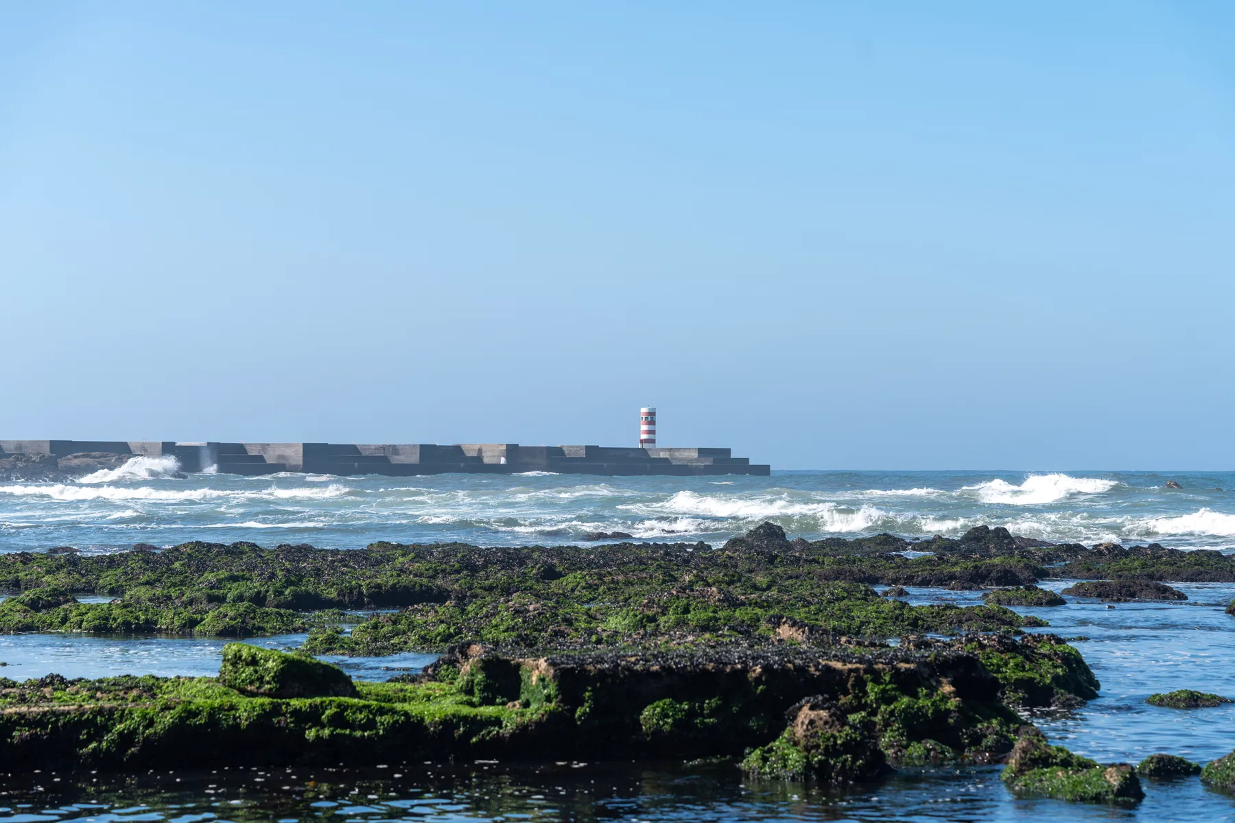 Low tide at Foz, the striped Felgueiras lighthouse on the breakwater.