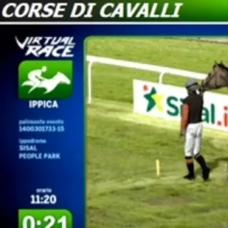Non tutti i cavalli sono nati uguali. Alcuni sono nati per v (3/3)