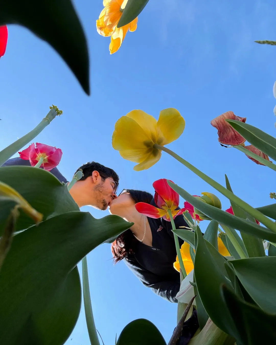Tulipiamooooo 💐💐💐 (3/4)