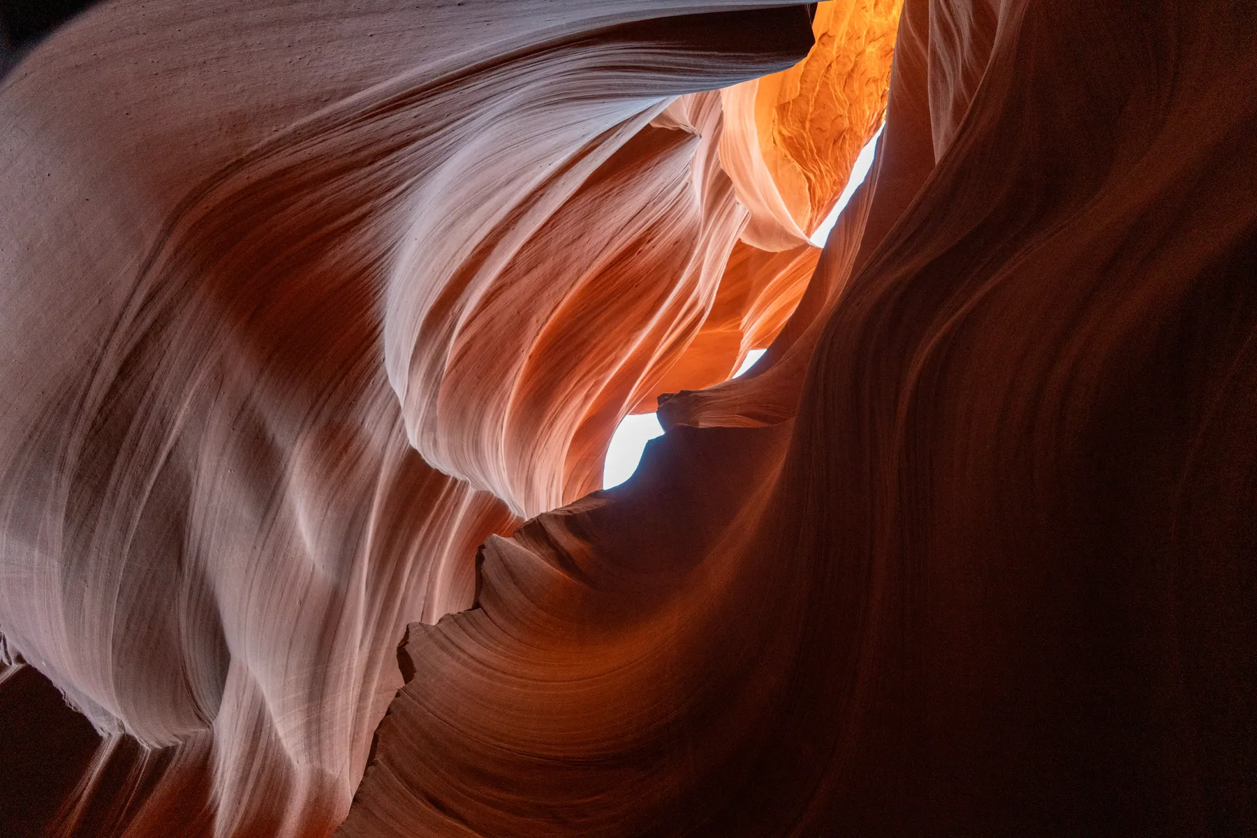 The walls flowing into each other, lit from above.