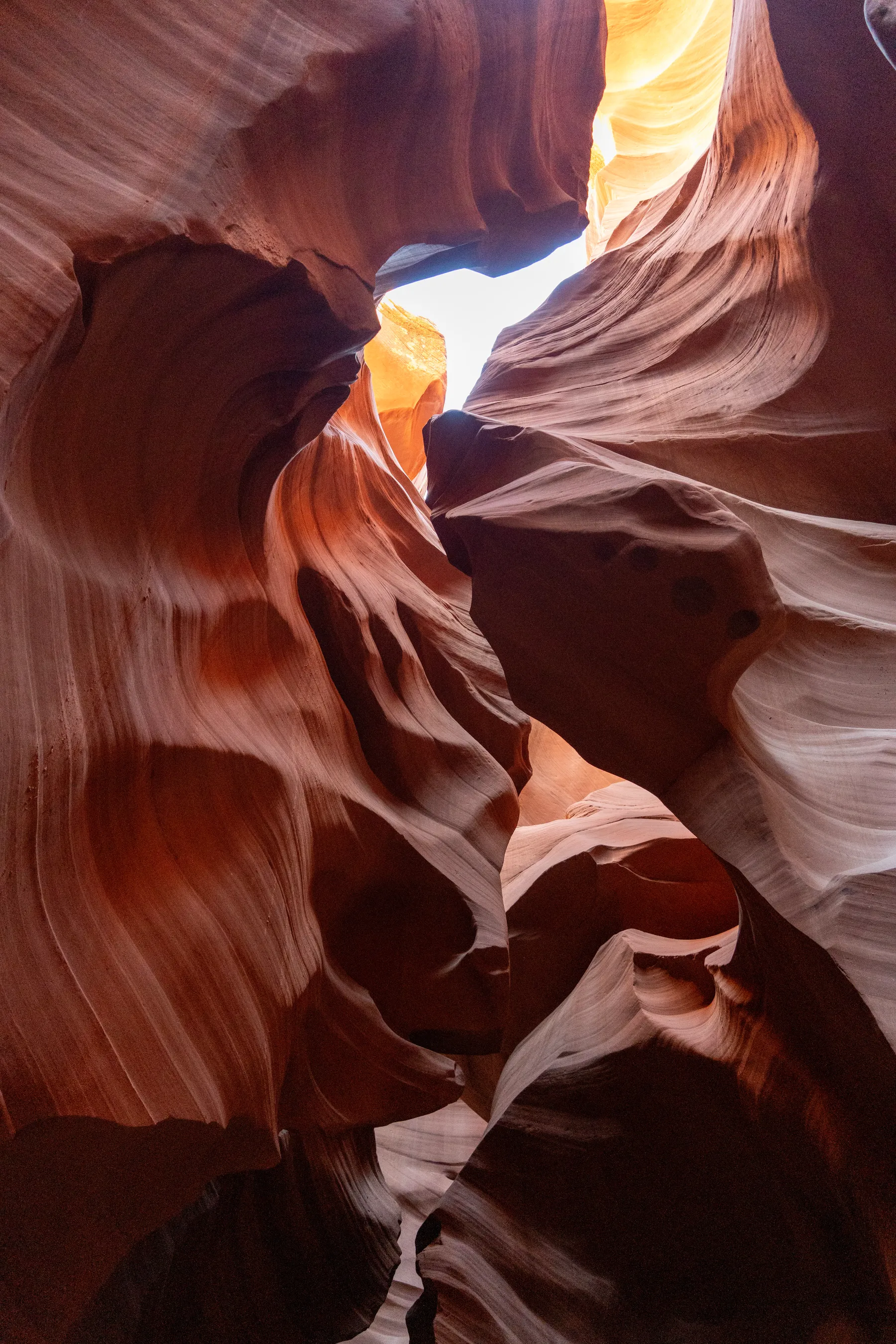 Looking up through the slot, a strip of sky between the curves.