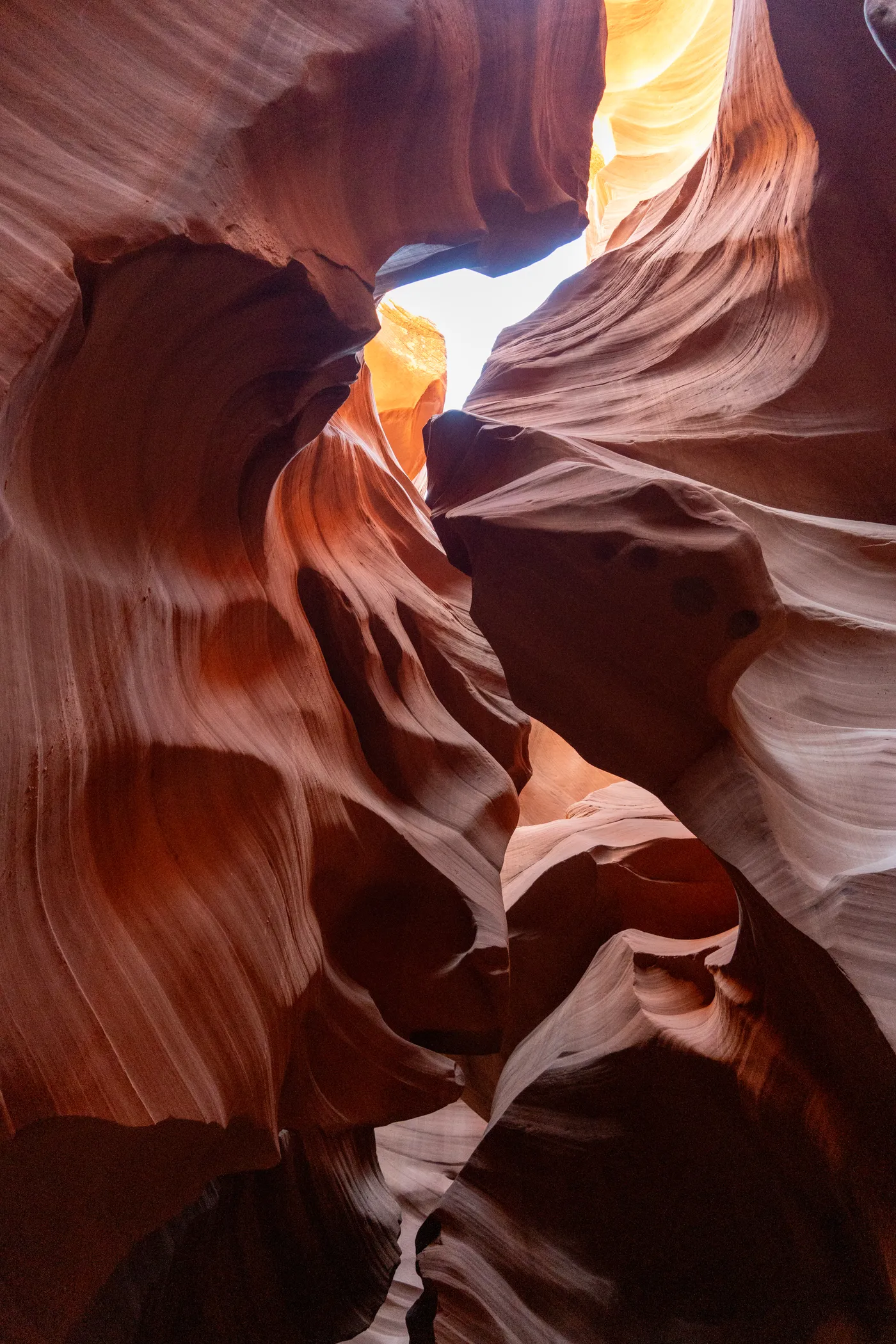Looking up through the slot, a strip of sky between the curves.