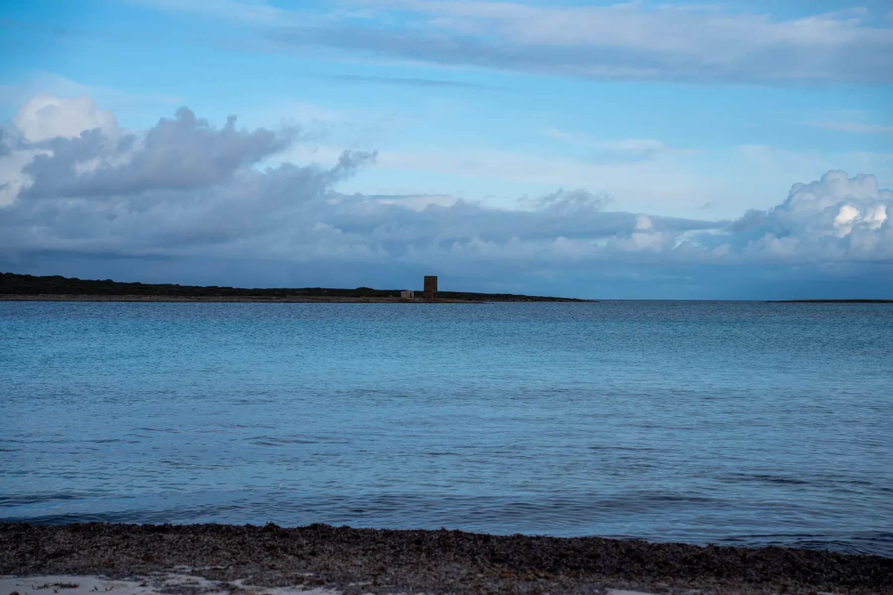 A tower on a low shore across still water.