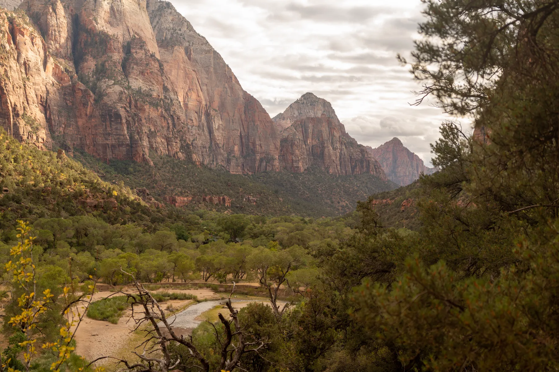 Zion Canyon under a grey October sky, the Virgin River bed between the cottonwoods.