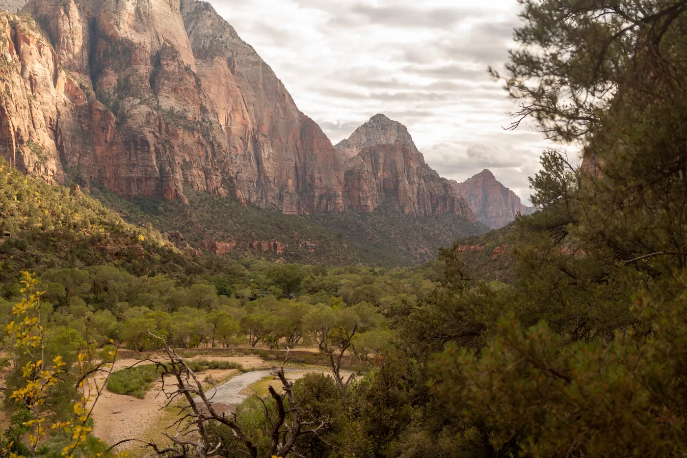 Zion Canyon under a grey October sky, the Virgin River bed between the cottonwoods.