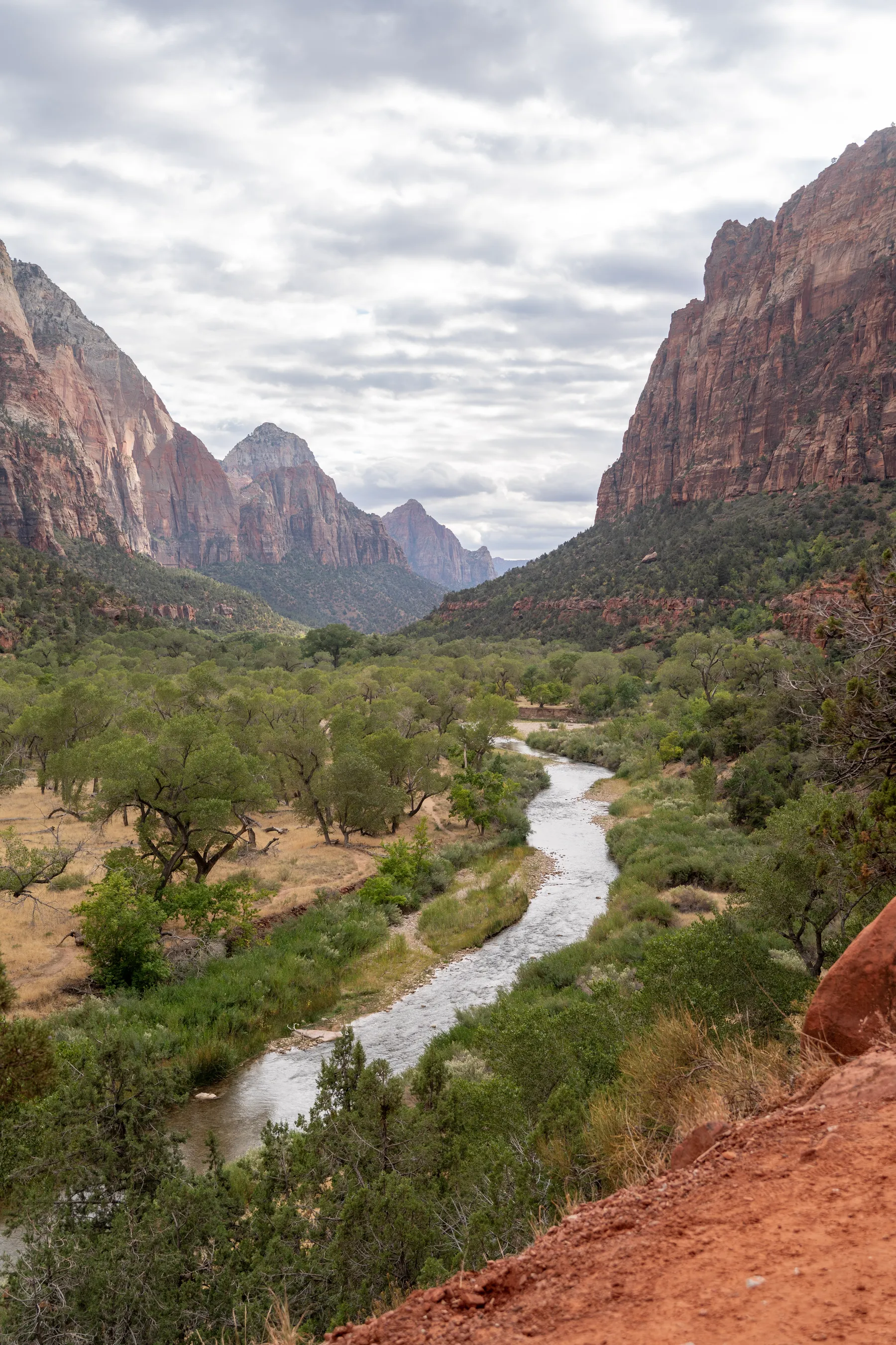 The Virgin River winding down the canyon floor, seen from the Watchman Trail.