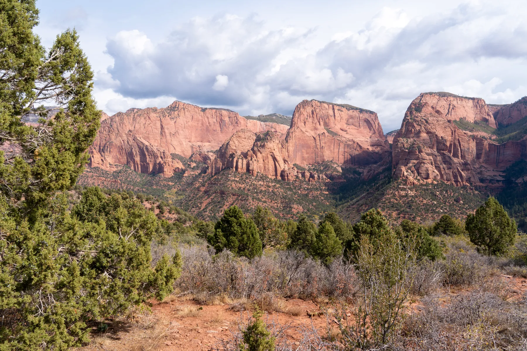 The finger canyons of Kolob, red Navajo sandstone over juniper and sage.