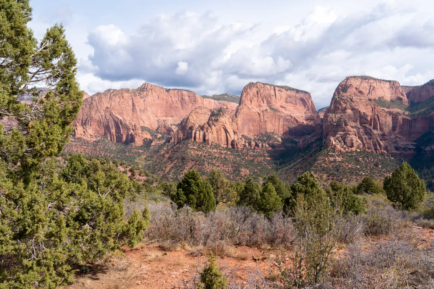 The finger canyons of Kolob, red Navajo sandstone over juniper and sage.